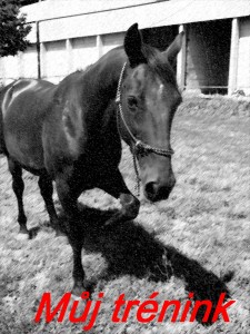 Obrazek