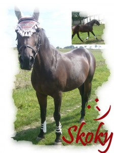 Obrazek